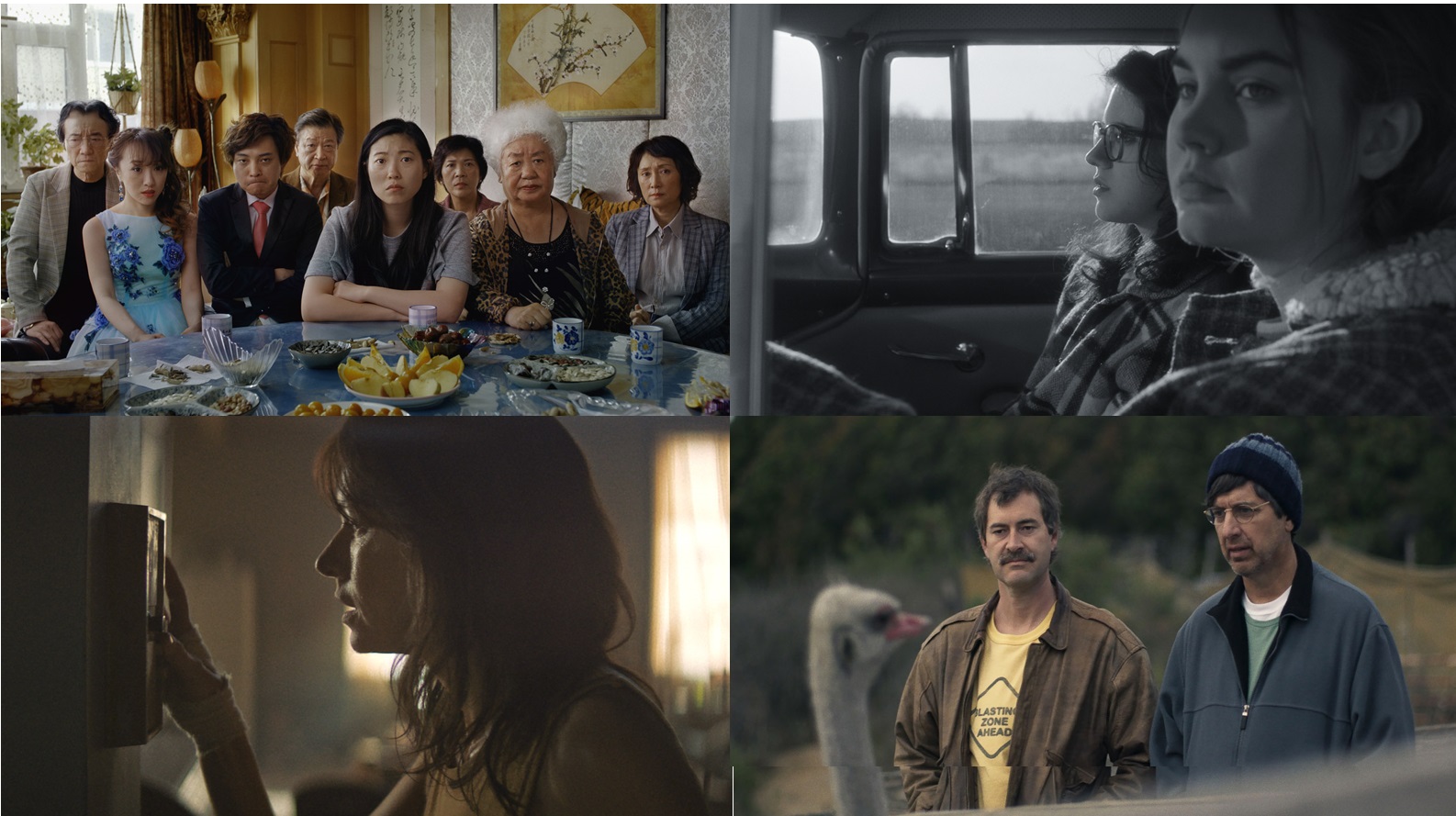 Sundance 2019: 20 Films We Can’t Wait to See in Park City